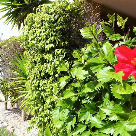 Apartment Recoleta 22 *
